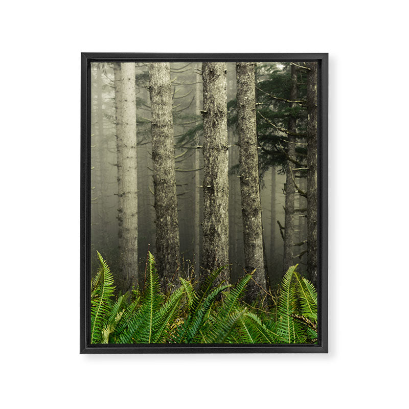 Cloudy With A Chance Of Adventure Framed Canvas Print Gallery Image 6