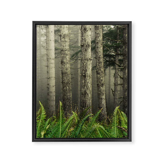Cloudy With A Chance Of Adventure Framed Canvas Print Gallery Image 1