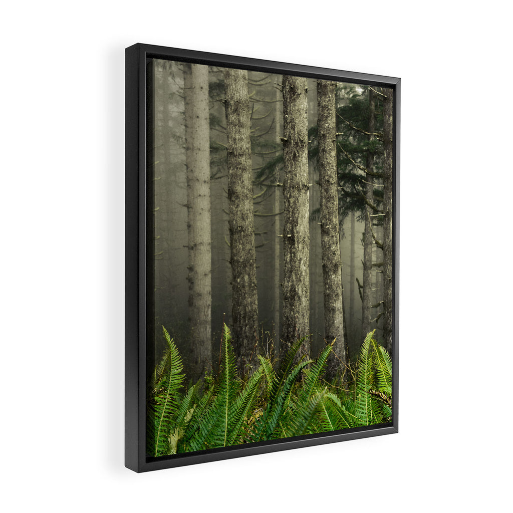 Cloudy With A Chance Of Adventure Framed Canvas Print Gallery Image 2