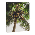 Coconut Bounty Canvas Print Gallery Image 6