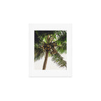 Coconut Bounty Art Print Gallery Image 1