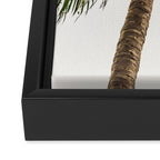Coconut Bounty Framed Canvas Print Gallery Image 3