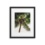 Coconut Bounty Framed Art Print Gallery Image 5