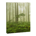 Dreaming of Appalachia - Nature Photography Digital Landscape Canvas Print Gallery Image 6
