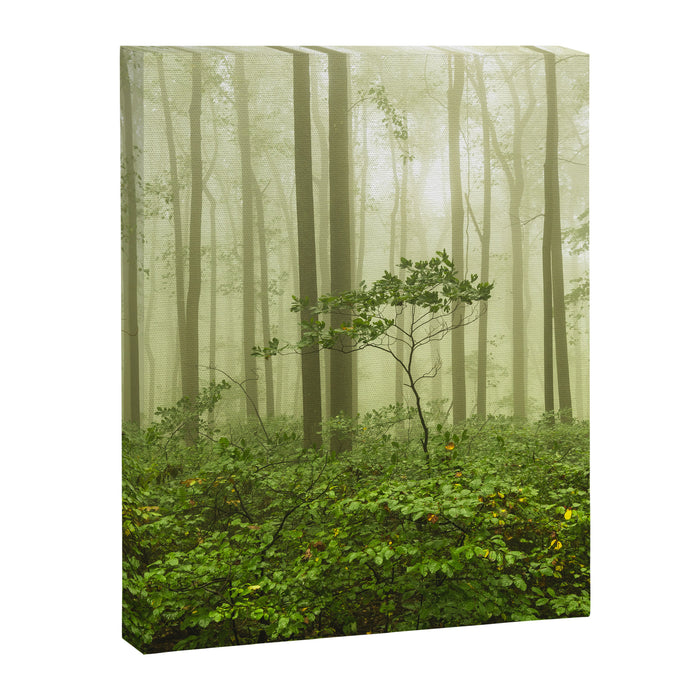 Dreaming of Appalachia - Nature Photography Digital Landscape Canvas Print Gallery Image 1