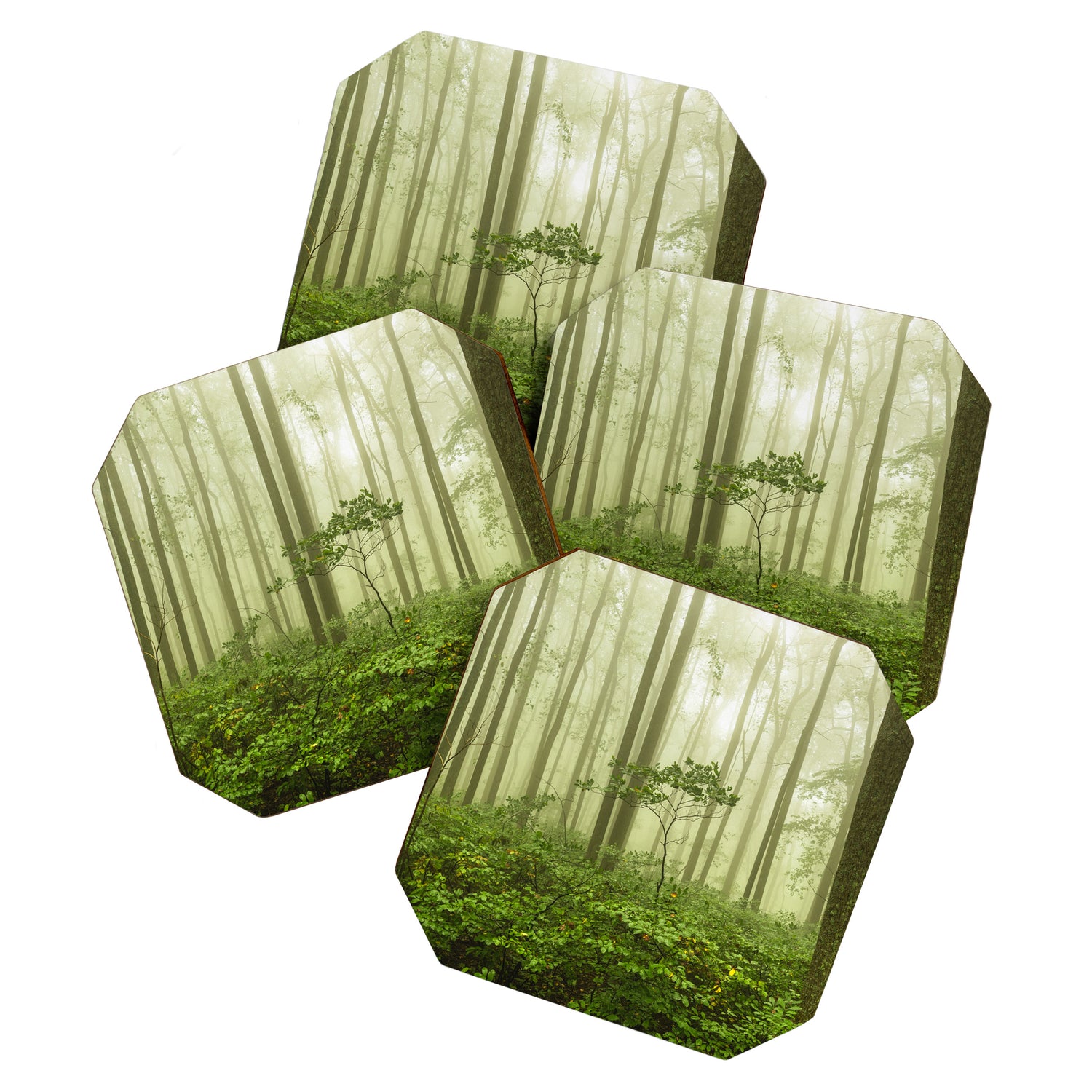 Dreaming of Appalachia - Nature Photography Digital Landscape Coaster Gallery Image 1