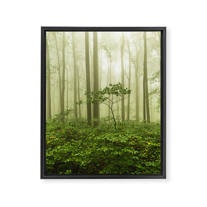Dreaming of Appalachia - Nature Photography Digital Landscape Framed Canvas Print Gallery Image 1