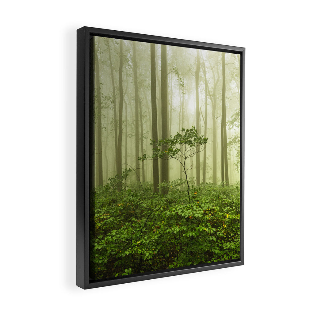 Dreaming of Appalachia - Nature Photography Digital Landscape Framed Canvas Print Gallery Image 2