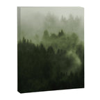 Drift - Green Mountain Forest Canvas Print Gallery Image 6
