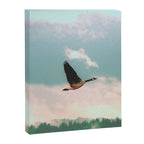Early Bird Canvas Print Gallery Image 8