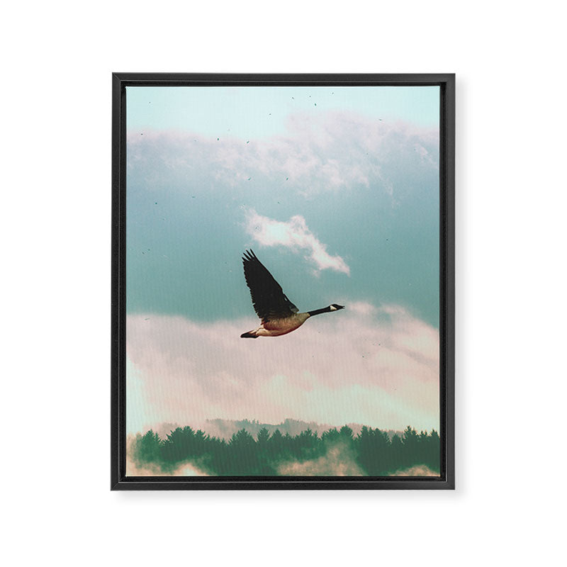Early Bird Framed Canvas Print Gallery Image 8
