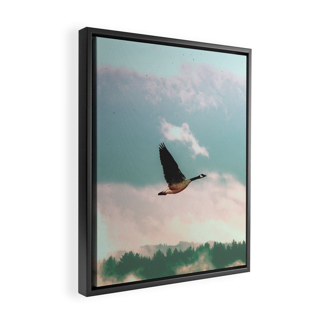 Early Bird Framed Canvas Print Gallery Image 2