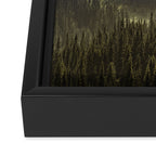 Epic Forest Mountain Adventure - Mount Rainier National Park Framed Canvas Print Gallery Image 3