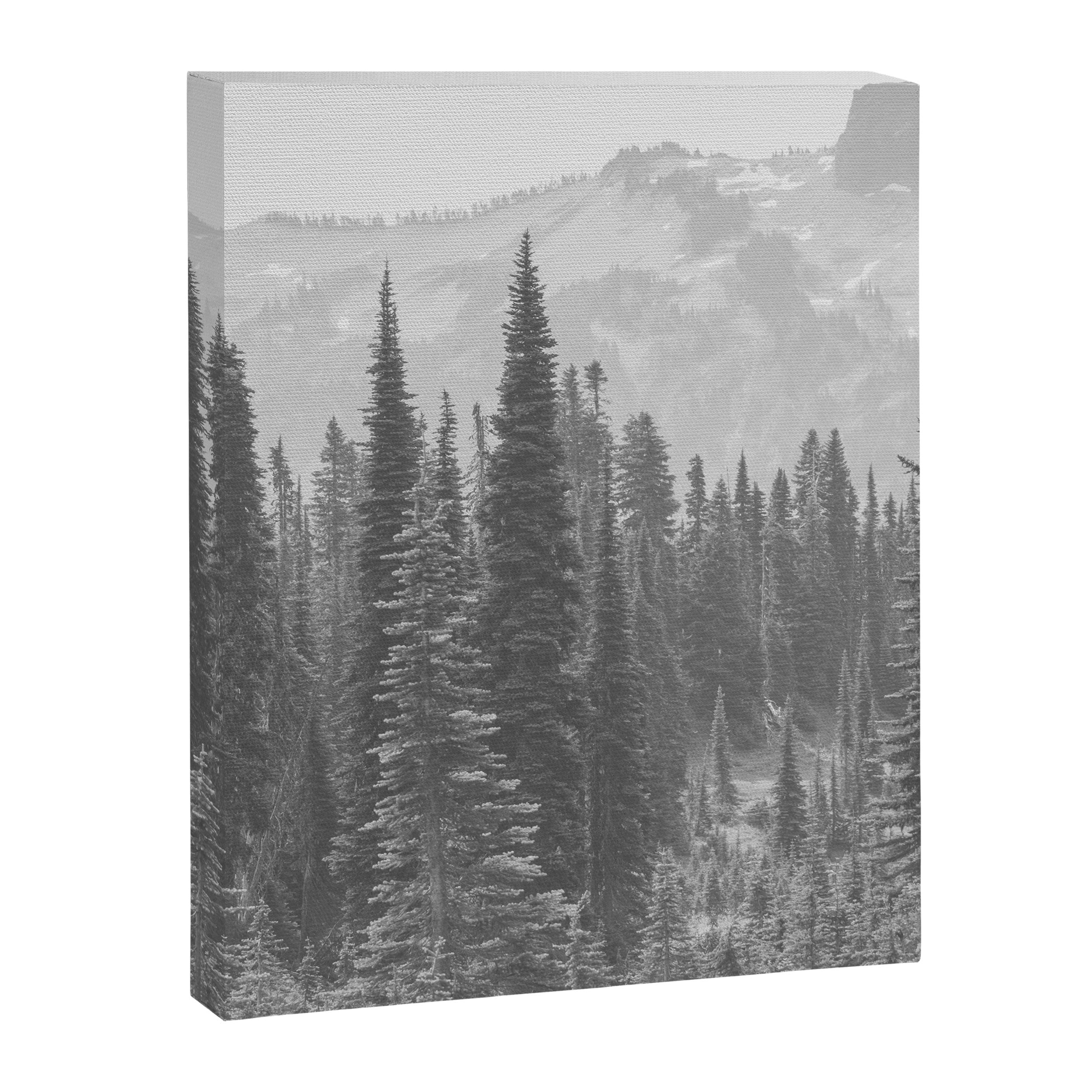Escape to the Wilds - Black and White Nature Photography Canvas Print Gallery Image 6