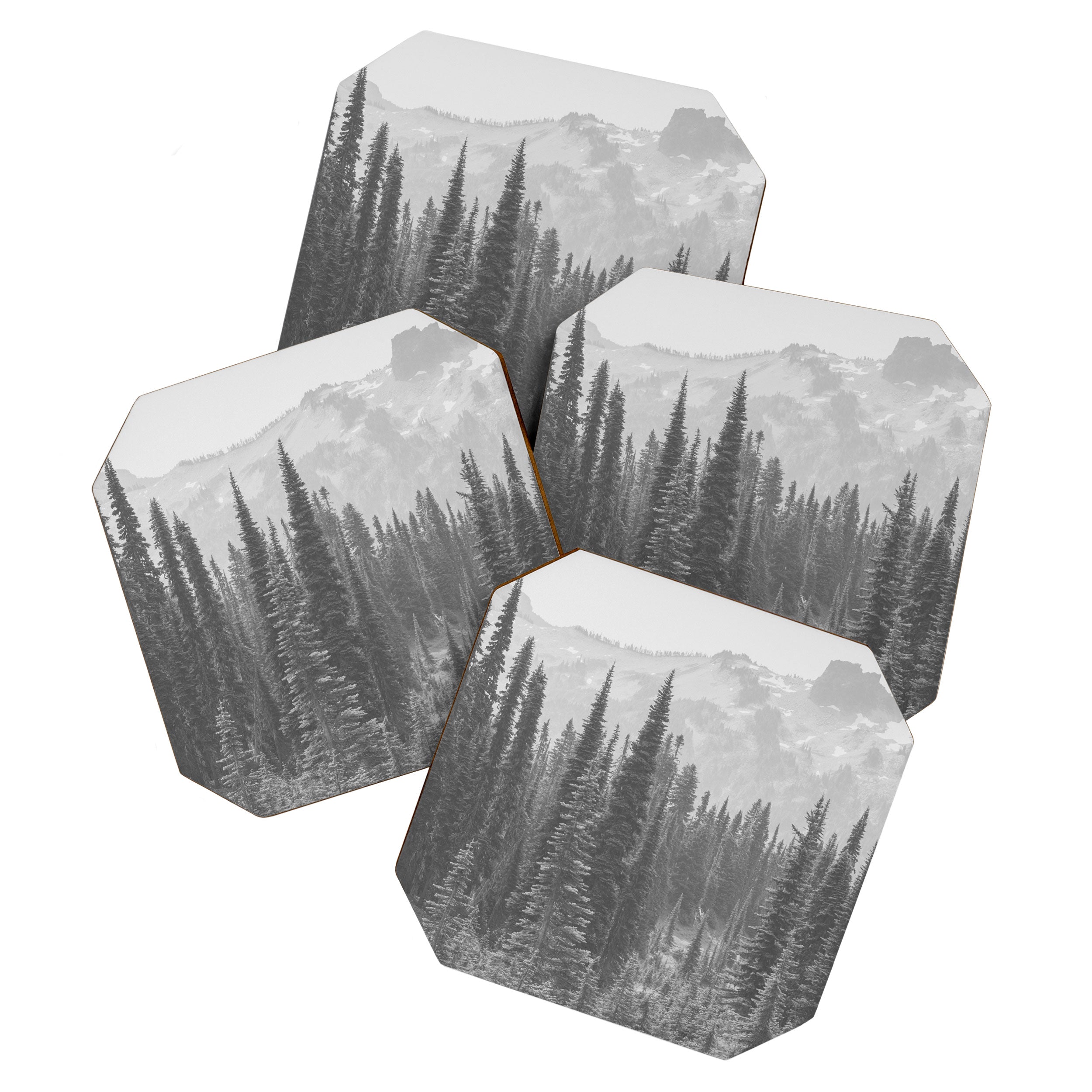 Escape to the Wilds - Black and White Nature Photography Coaster Gallery Image 1