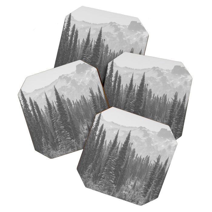 Escape to the Wilds - Black and White Nature Photography Coaster Gallery Image 1