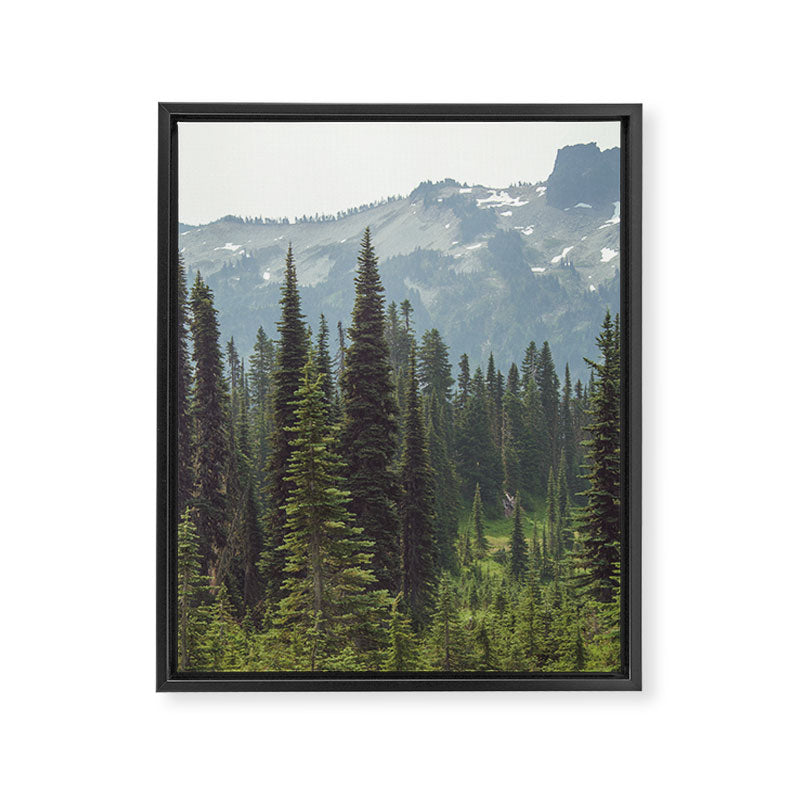 Escape to the Wilds - Nature Photography Framed Canvas Print Gallery Image 6