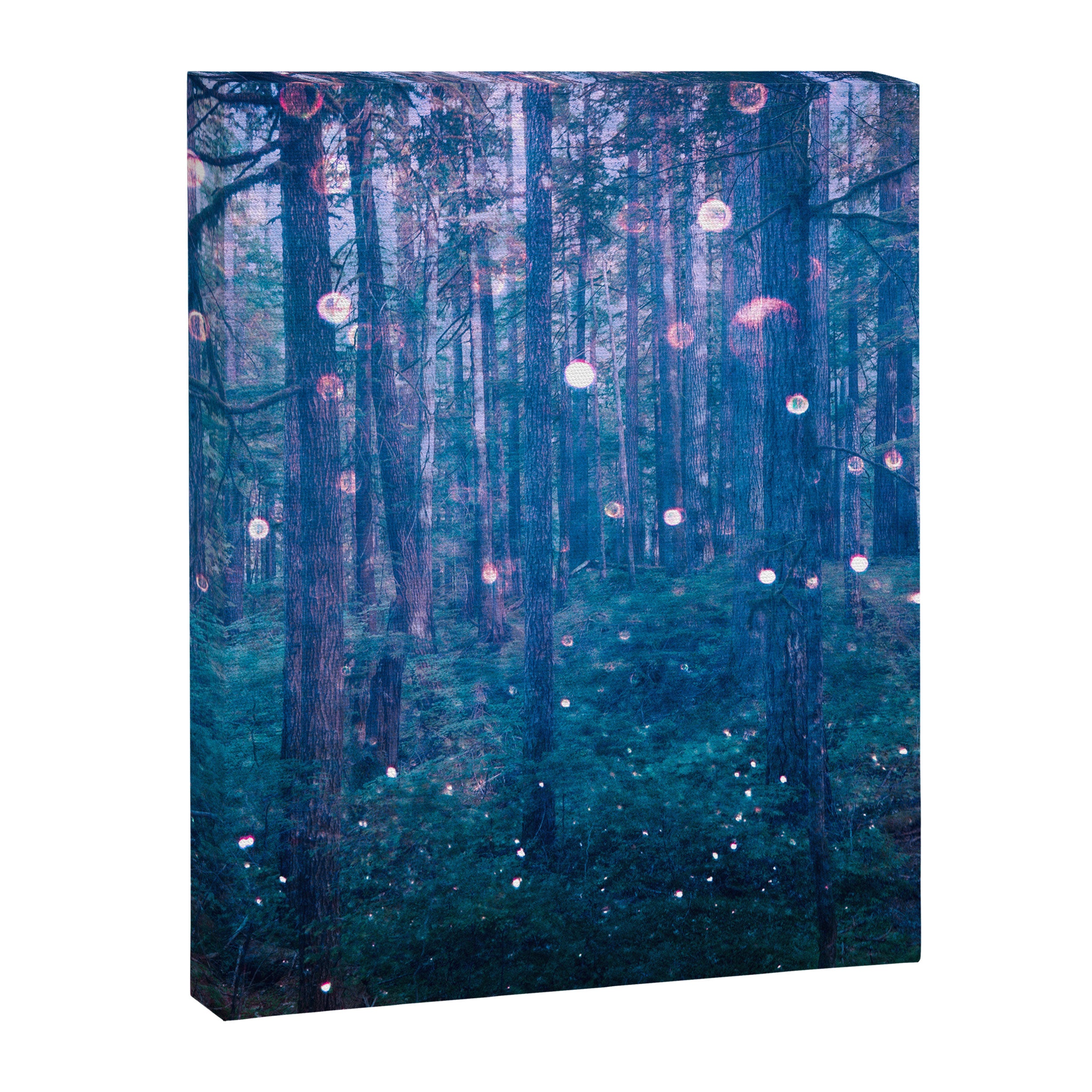 Fairy Lights Canvas Print Gallery Image 8