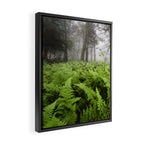 Fern Prairie Nature Forest Photography Framed Canvas Print Gallery Image 2