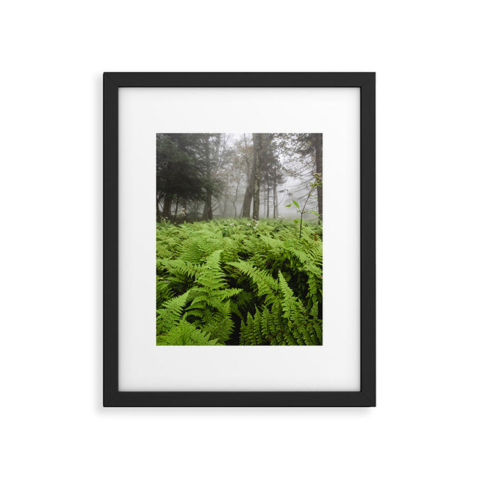 Fern Prairie Nature Forest Photography Framed Art Print Gallery Image 1