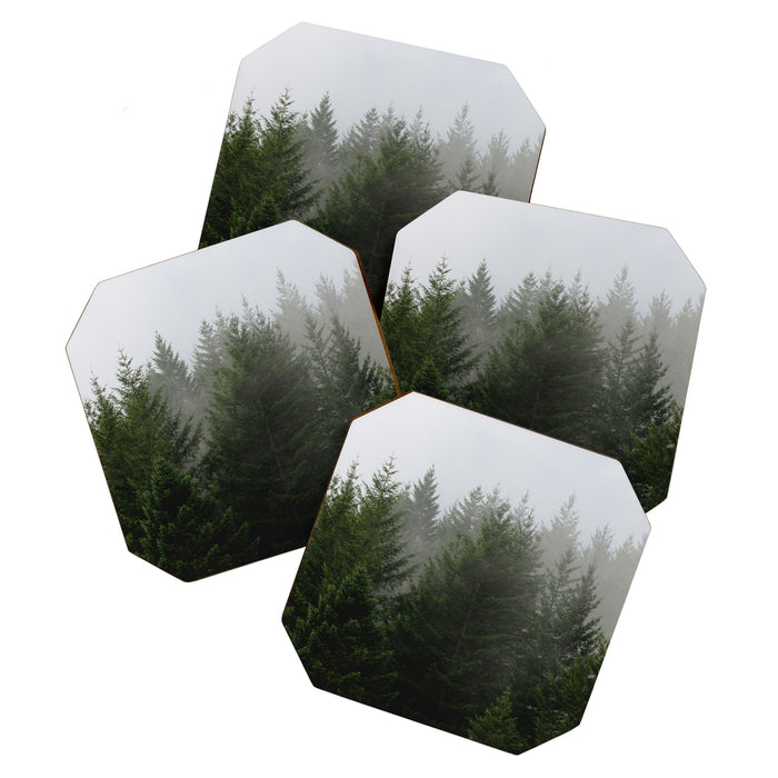 Foggy Trees Pacific Northwest Coaster Gallery Image 1