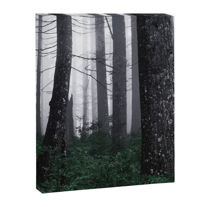 Forest Fog Fun Adventure Canvas Print Gallery Image 1