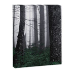 Forest Fog Fun Adventure Canvas Print Gallery Image 6