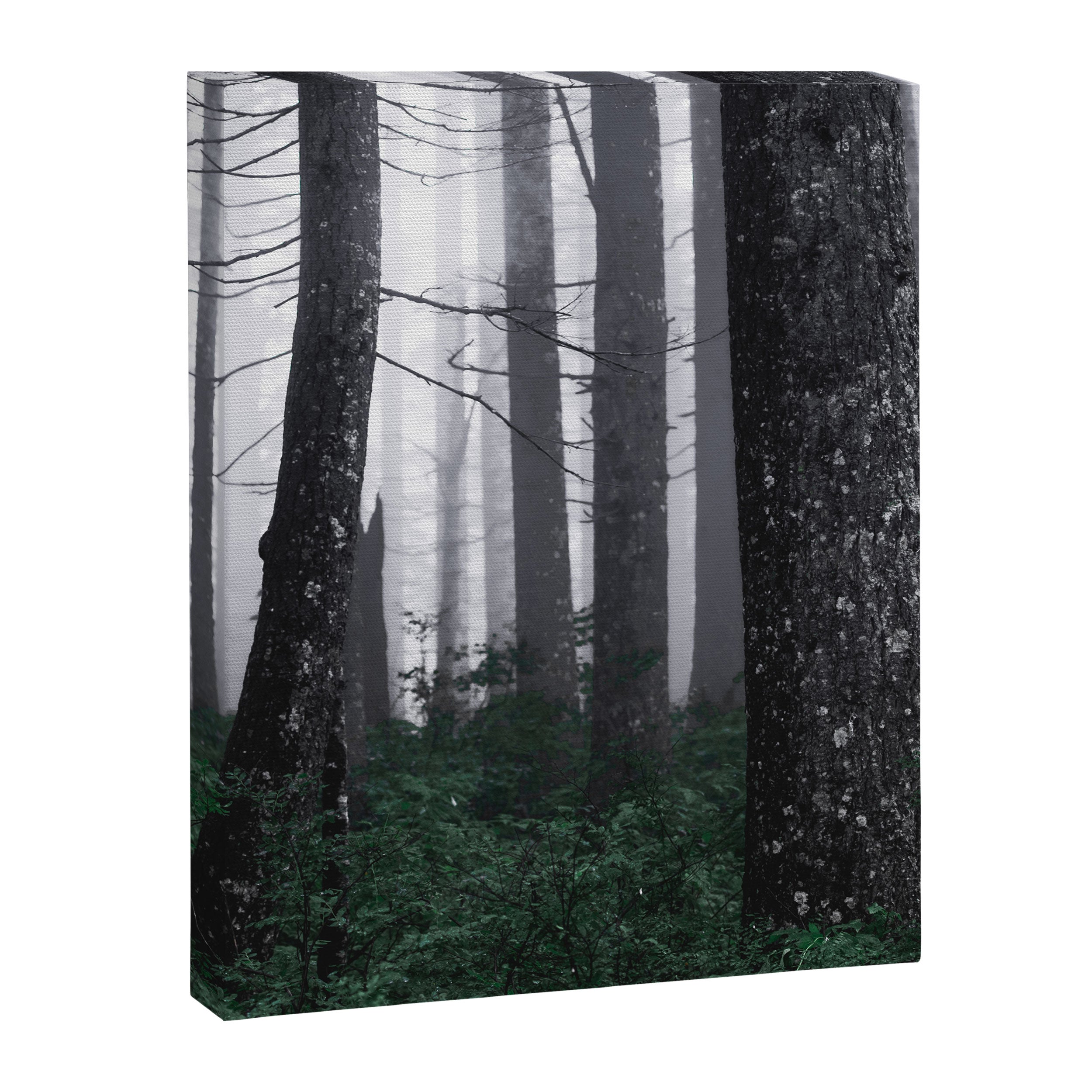 Forest Fog Fun Adventure Canvas Print Gallery Image 6