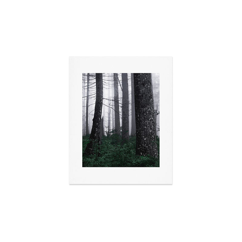 Forest Fog Fun Adventure Art Print Gallery Image 1