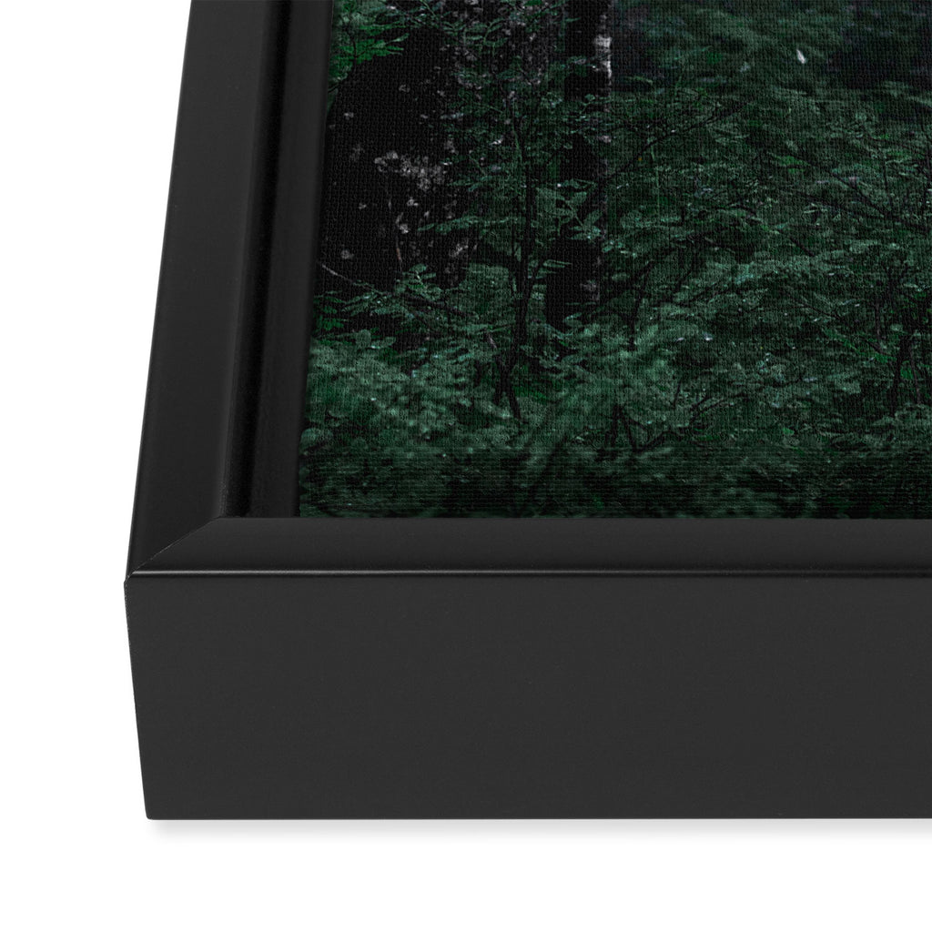 Forest Fog Fun Adventure Framed Canvas Print Gallery Image 3