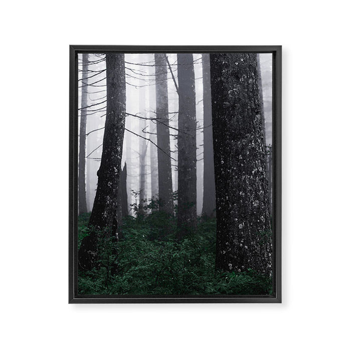 Forest Fog Fun Adventure Framed Canvas Print Gallery Image 1