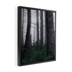 Forest Fog Fun Adventure Framed Canvas Print Gallery Image 2