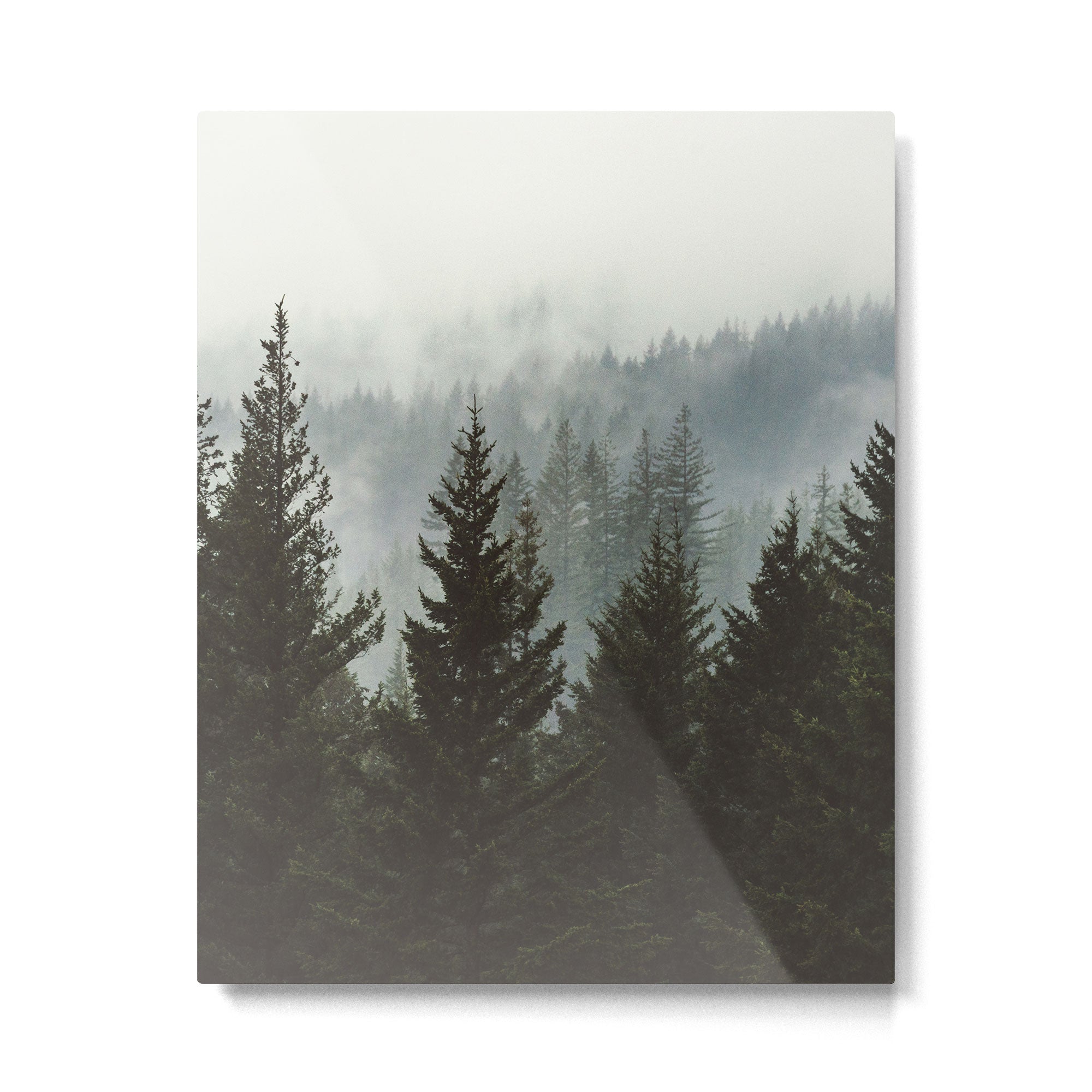 Forest Fog Mountain IV - Wanderlust Nature Photography Metal Print Gallery Image 4