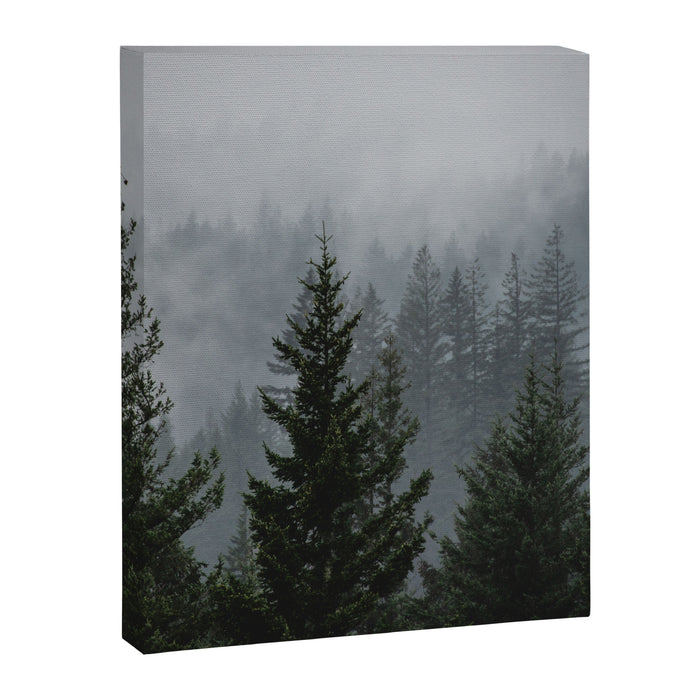 Forest Fog Mountain V - Wanderlust Nature Photography Canvas Print Gallery Image 1
