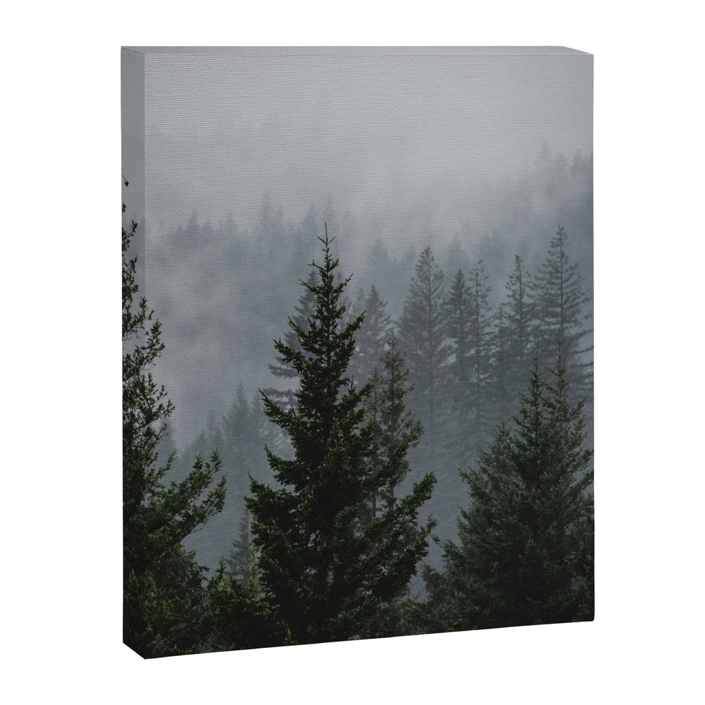 Forest Fog Mountain V - Wanderlust Nature Photography Canvas Print Gallery Image 6