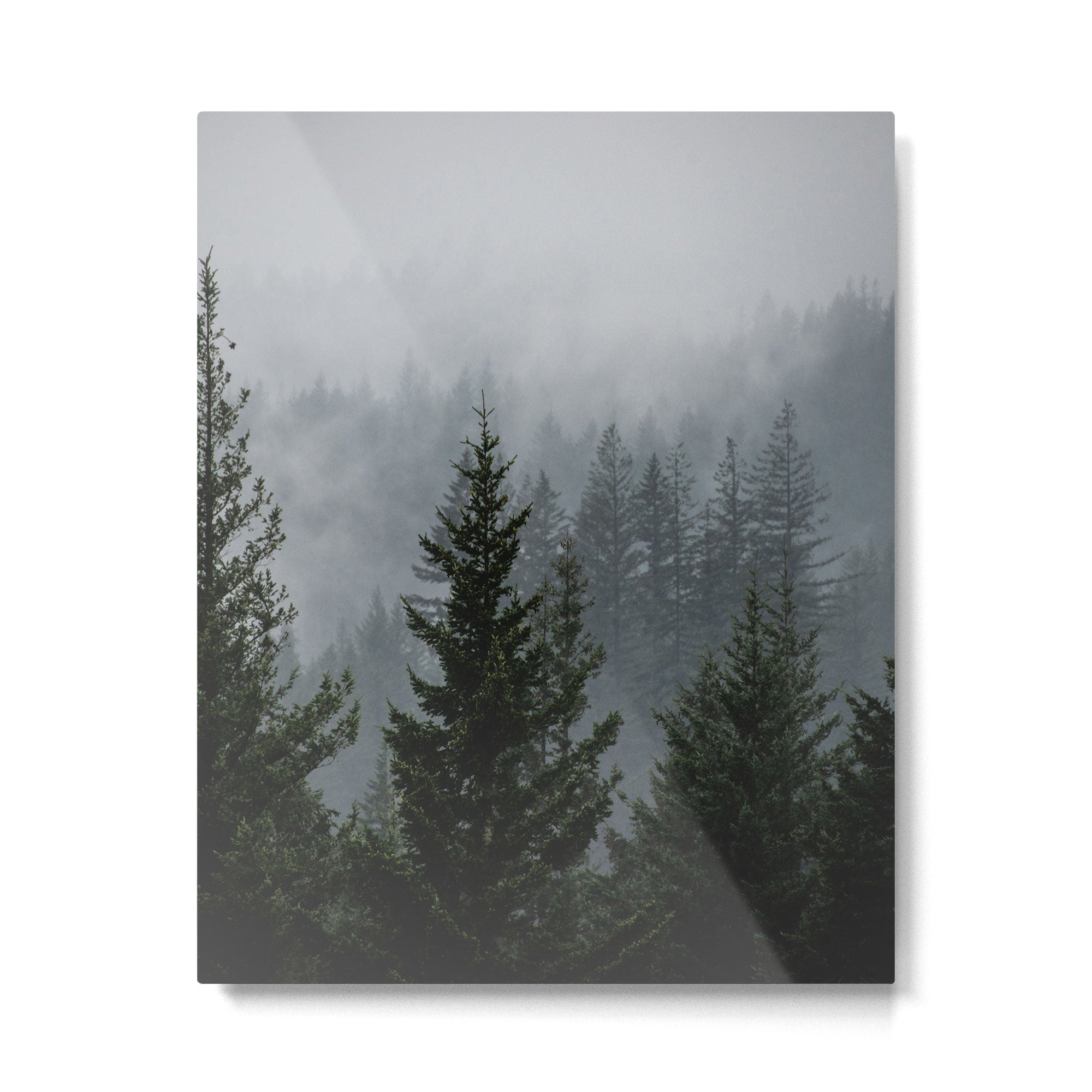 Forest Fog Mountain V - Wanderlust Nature Photography Metal Print Gallery Image 4