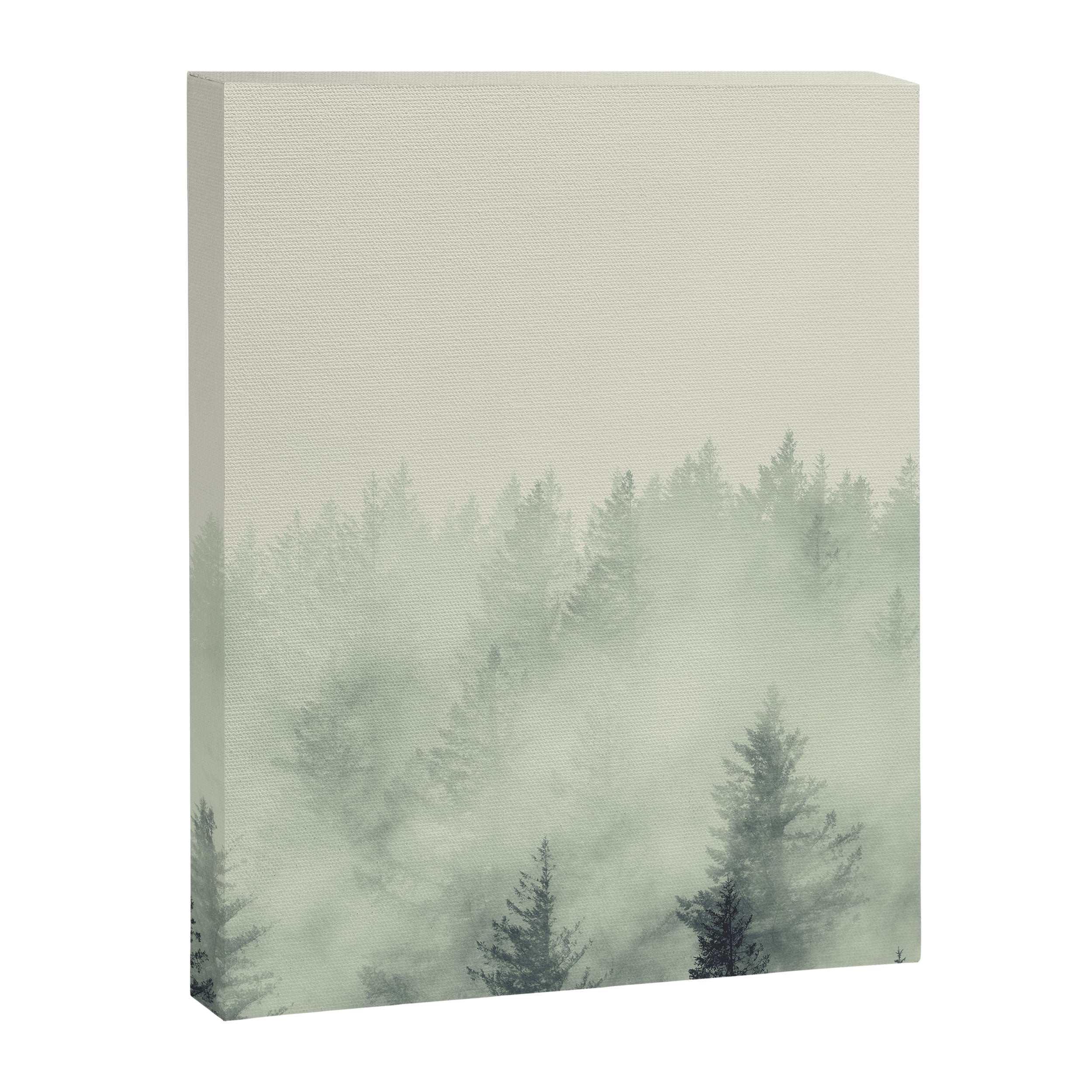 Forest Green - Pacific Northwest Forest Canvas Print Gallery Image 6