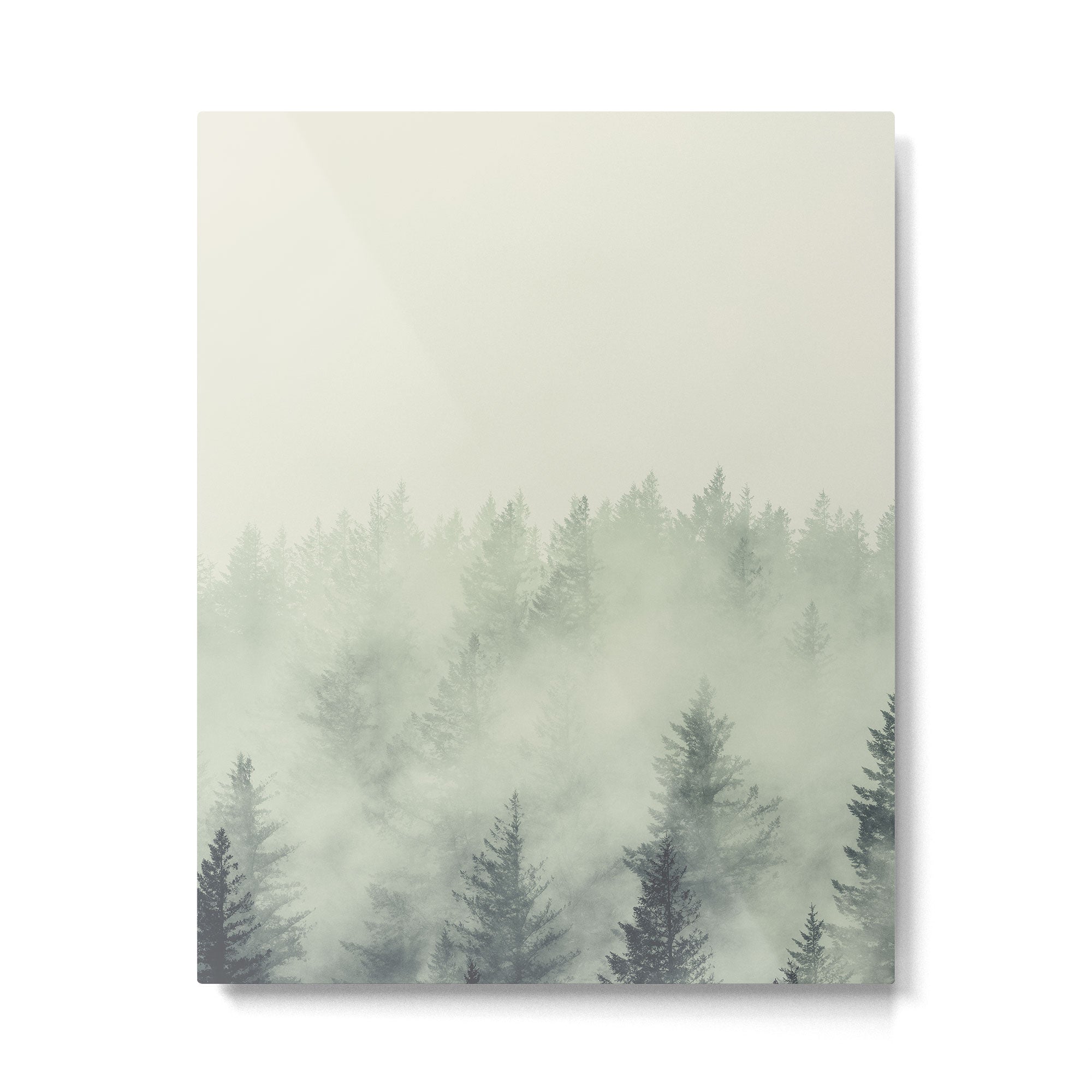 Forest Green - Pacific Northwest Forest Metal Print Gallery Image 4