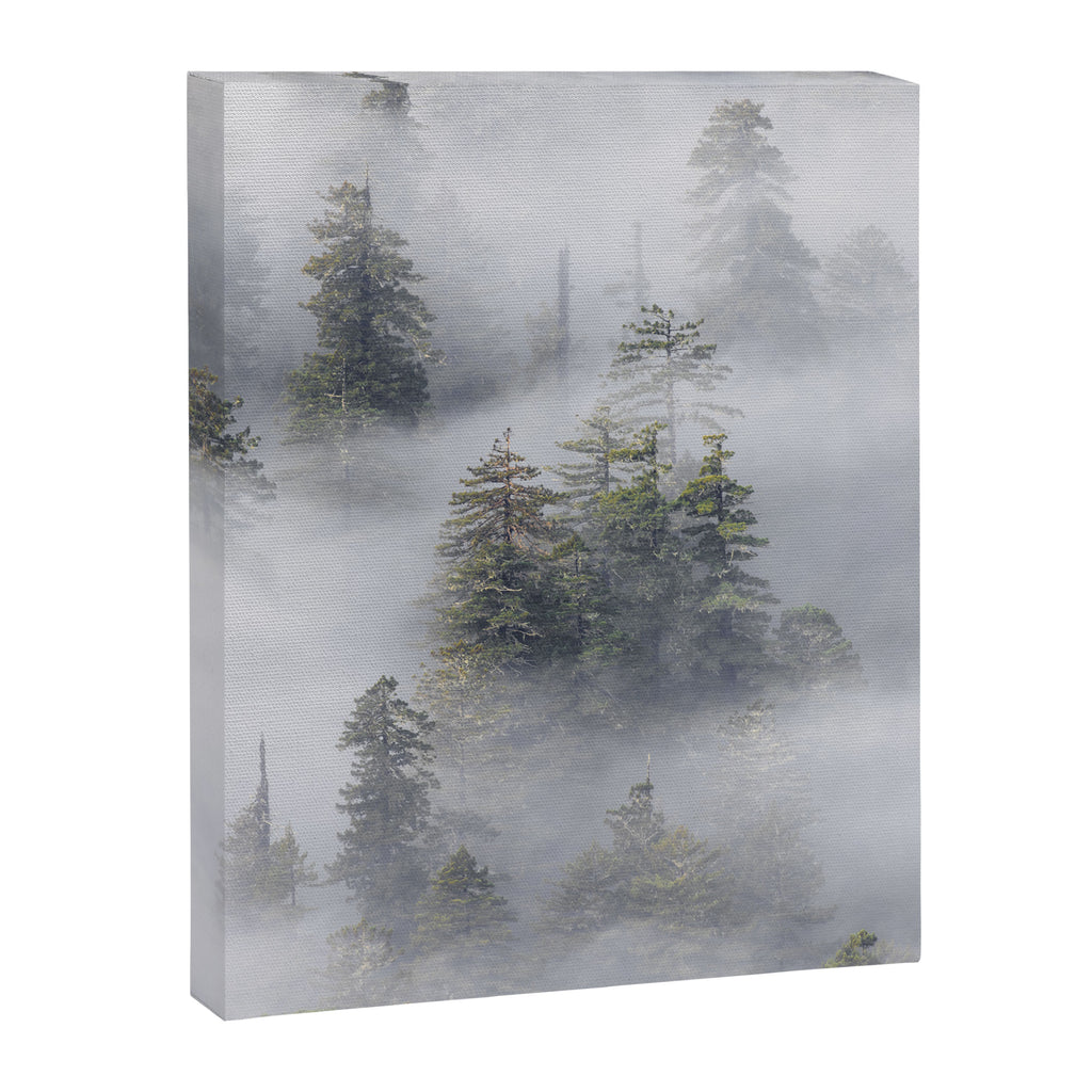 Forest In The Sky - Redwood National Park Foggy Trees Canvas Print Gallery Image 6