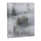 Forest In The Sky - Redwood National Park Foggy Trees Canvas Print Gallery Image 6