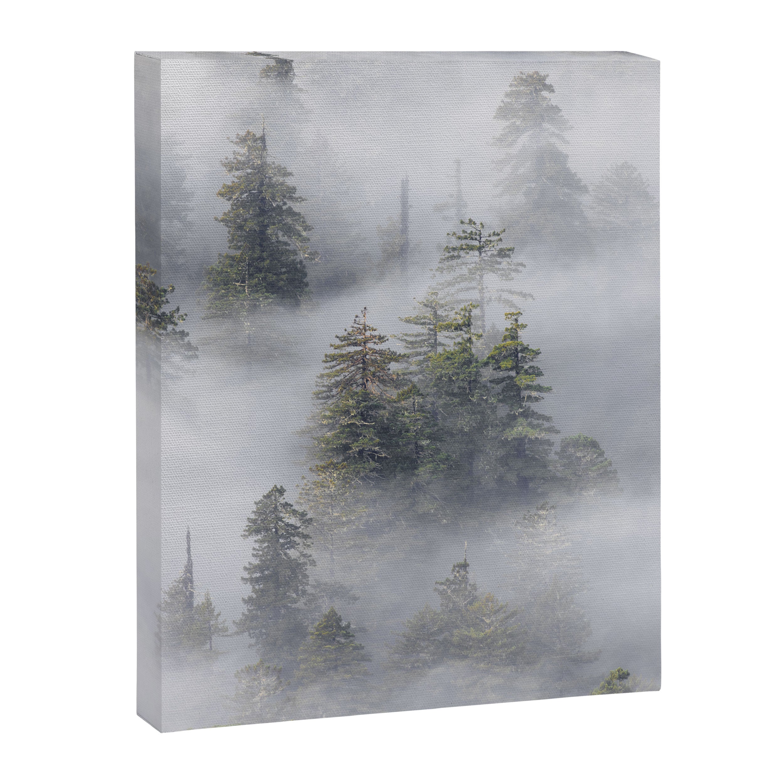 Forest In The Sky - Redwood National Park Foggy Trees Canvas Print Gallery Image 6