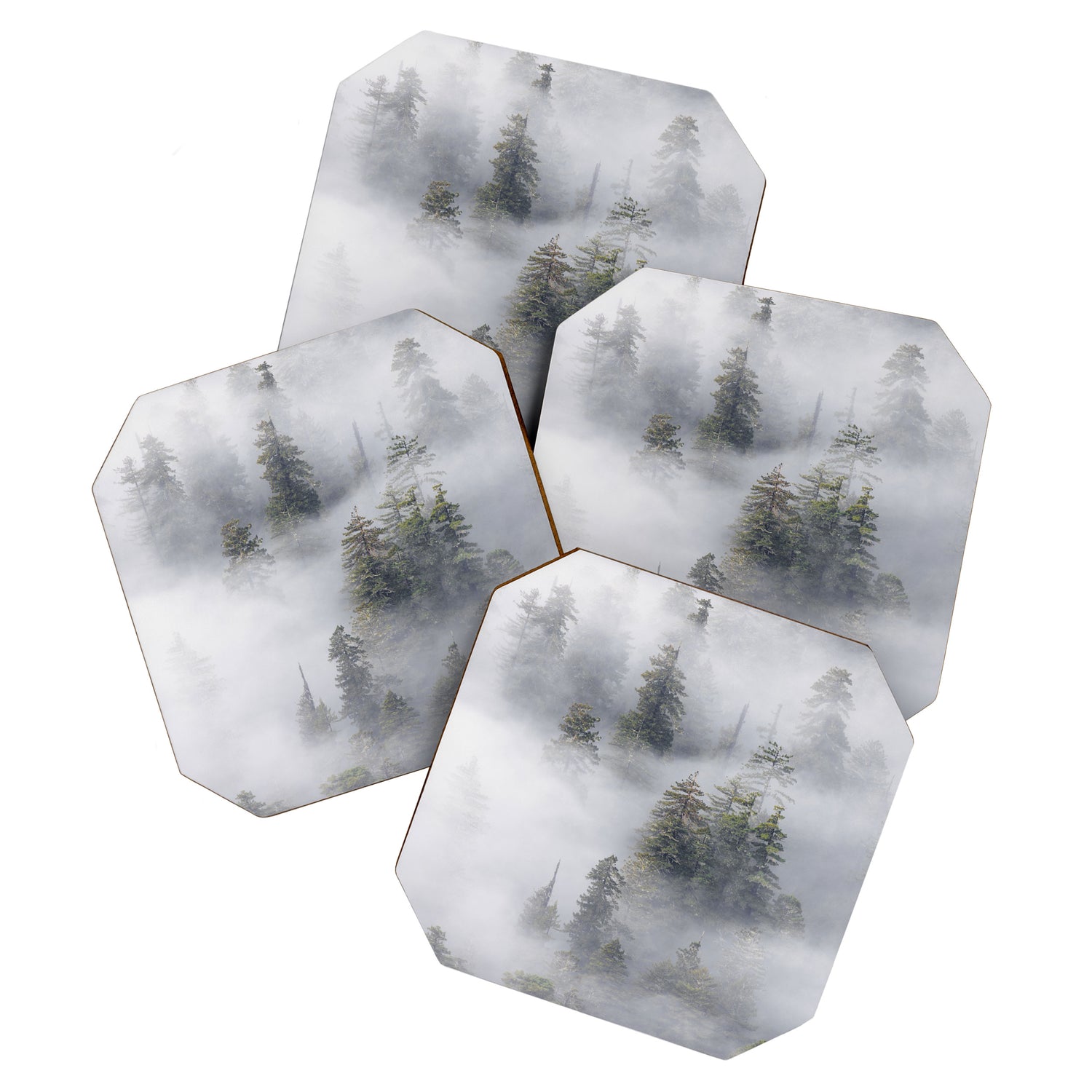 Forest In The Sky - Redwood National Park Foggy Trees Coaster Gallery Image 1