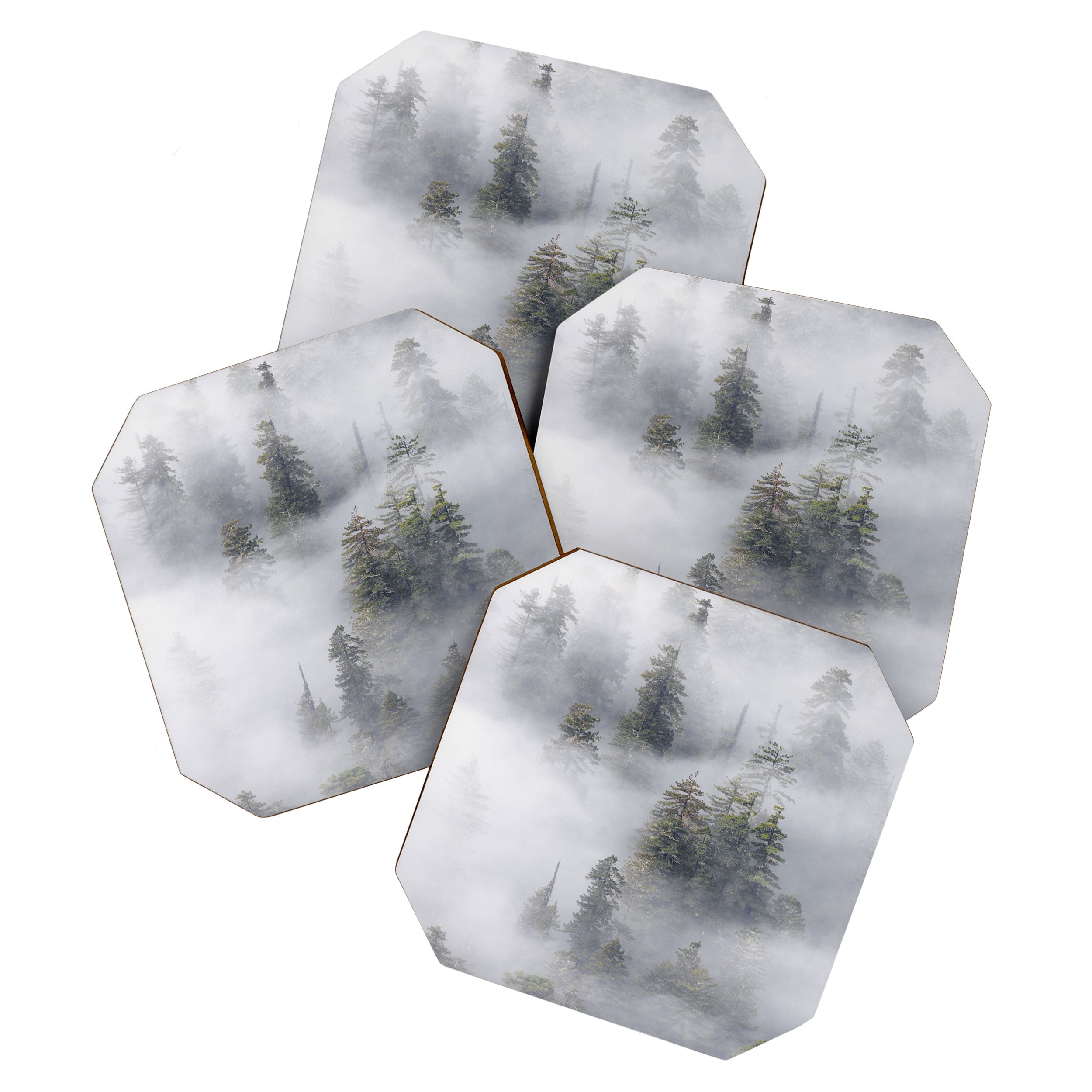 Forest In The Sky - Redwood National Park Foggy Trees Coaster Gallery Image 1