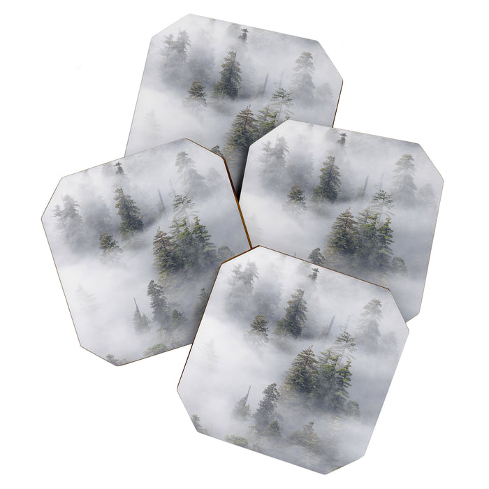 Forest In The Sky - Redwood National Park Foggy Trees Coaster Gallery Image 1