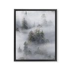 Forest In The Sky - Redwood National Park Foggy Trees Framed Canvas Print Gallery Image 6