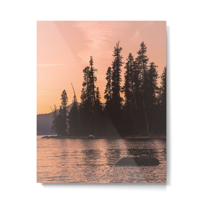 Forest Island at the Lake - Nature Photography Metal Print Gallery Image 1