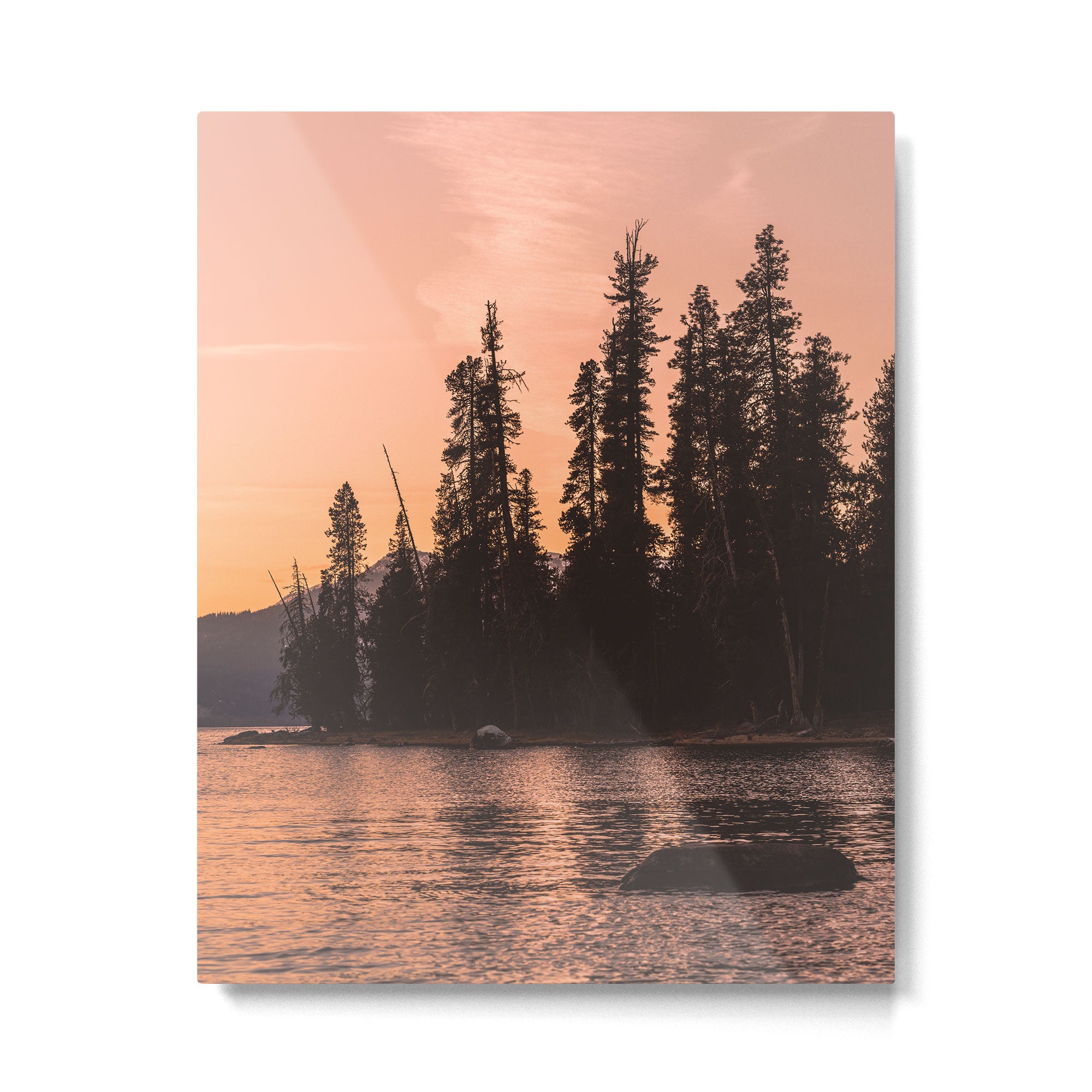 Forest Island at the Lake - Nature Photography Metal Print Gallery Image 4