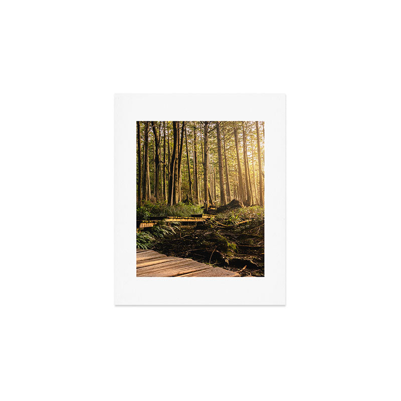 Forest Mountain Wanderlust Boardwalk - Nature Photography Art Print Gallery Image 1