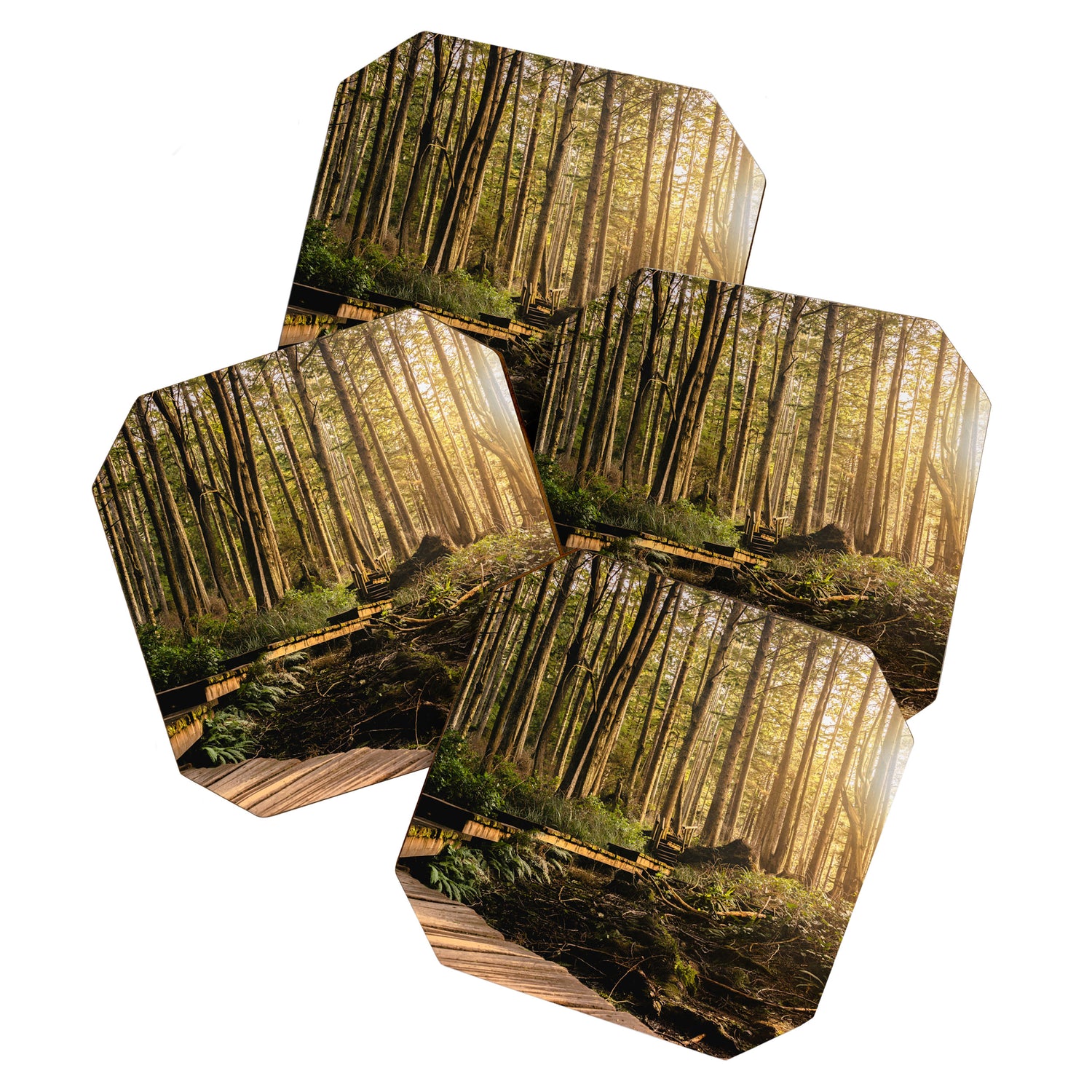 Forest Mountain Wanderlust Boardwalk - Nature Photography Coaster Gallery Image 1