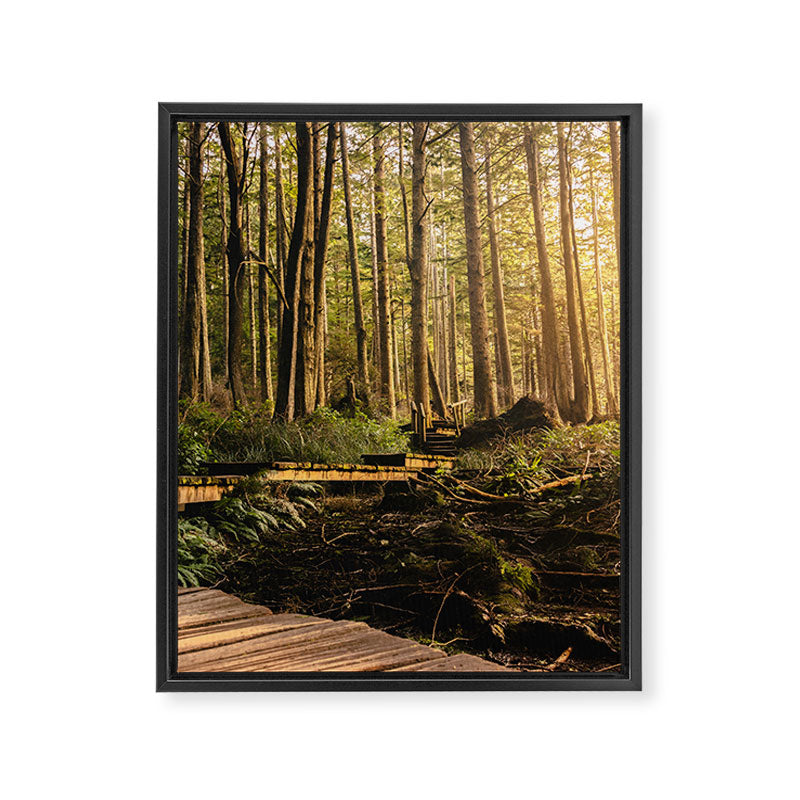 Forest Mountain Wanderlust Boardwalk - Nature Photography Framed Canvas Print Gallery Image 6